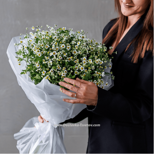 Bouquet of daisies "Adam and Eve"