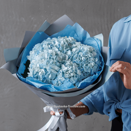 Blue Hydrangeas "Moonlit Evening"