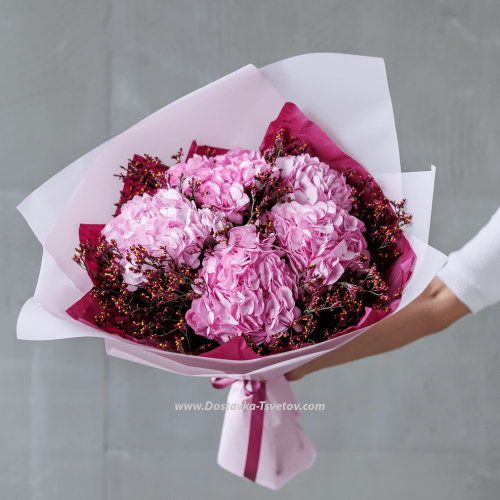 Pink Hydrangeas "Quartz"