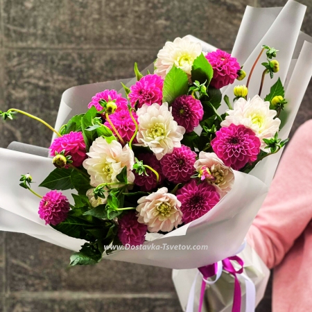 19 Dahlia "Flower Fairy"