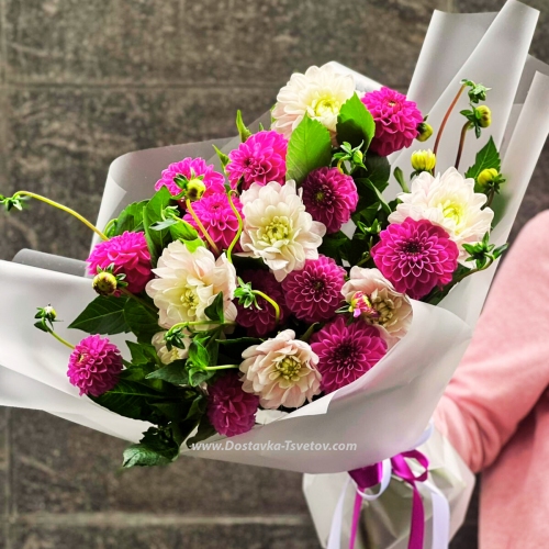 19 Dahlia "Flower Fairy"