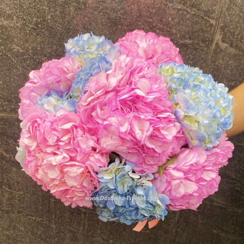 Bouquet-mix of hydrangeas "Sweet Fun"