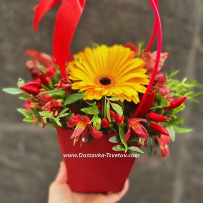 Flowers in a bag "Paprika"