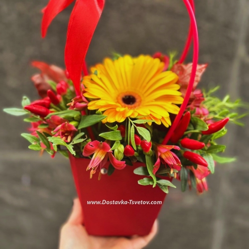 Flowers in a bag "Paprika"
