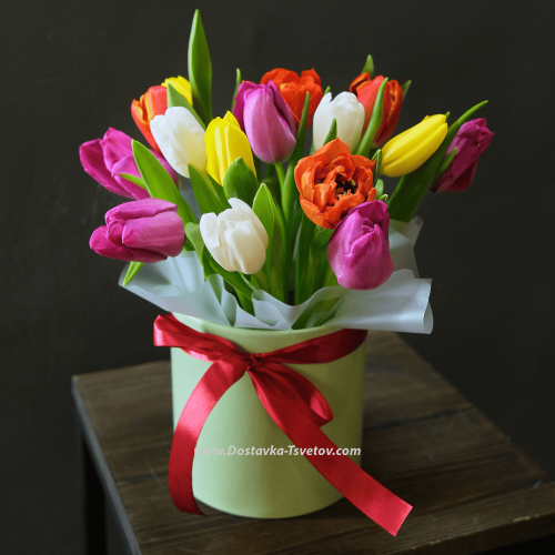 Tulips "Letter to Juliet"