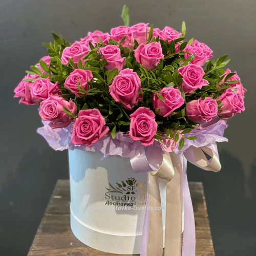 Beautiful pink roses "Nikol"