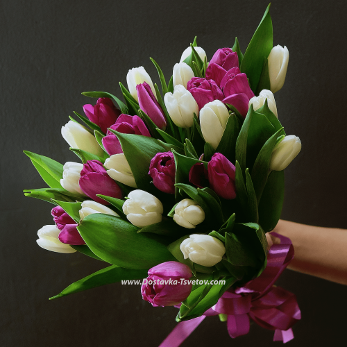 Bouquet of 29 tulips "Philadelphia"