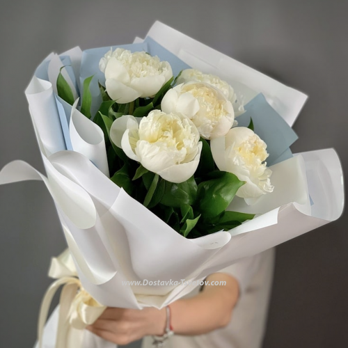 5 white peonies "Iceberg Peony" 