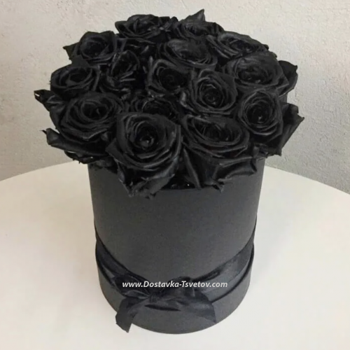 Black Roses "Mysterious Night"