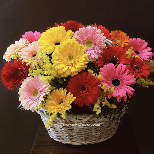 Gerberas in the "Gift" basket