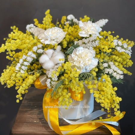Composition "Snowy Mimosa"