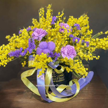 Composition "Mysterious Mimosa"