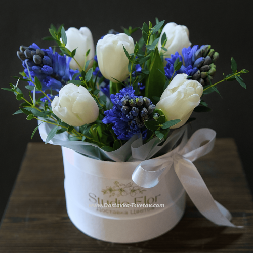 Tulips in a box "Marshmallow"