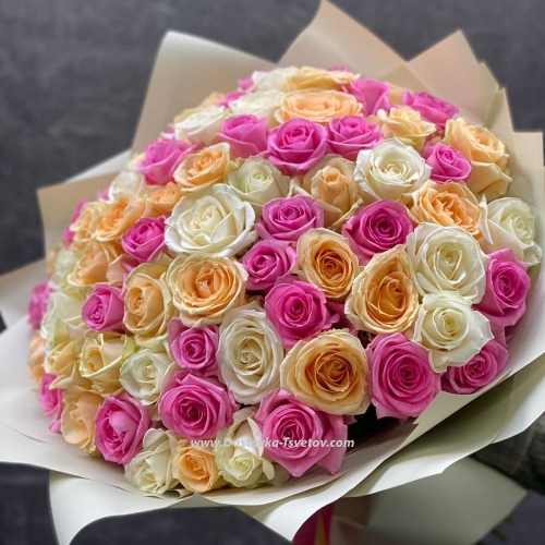 Mix of roses "Sea of Positivity"