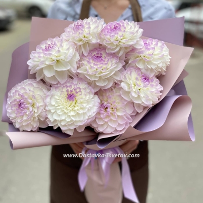 Bouquet of 11 dahlias "Renata"