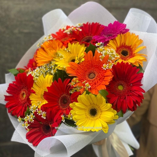15 multi-colored gerberas "Love Horoscope"
