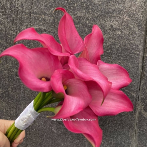 Bridal Bouquet of Pink Calla Lilies "Barbie"