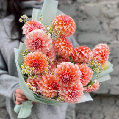 Dahlias and daisies in the bouquet "Assol"