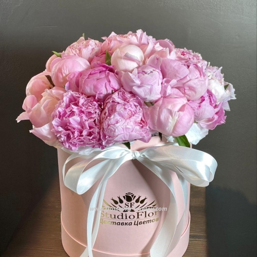 Box of peonies "Elbrus"
