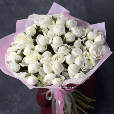 51 peonies "White Galaxy"