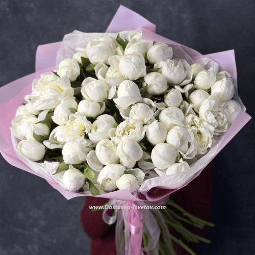 51 peonies "White Galaxy"