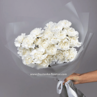 25 carnations in a bouquet "Swan Grace"