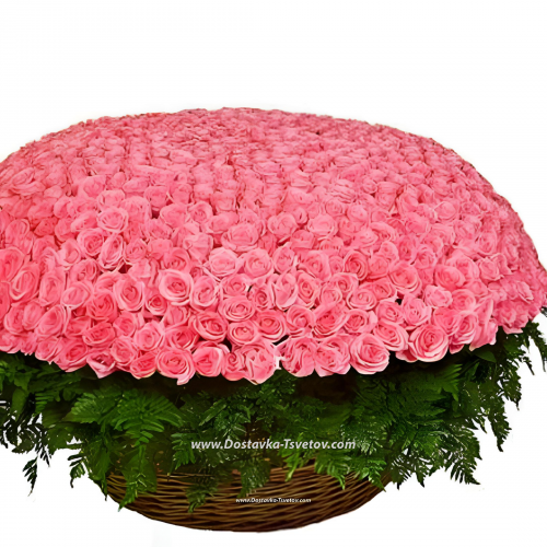 Huge basket "1001 Roses"