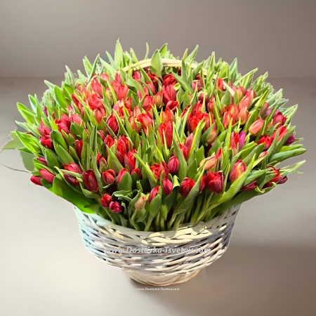 301 tulpan in basket "Lyamur"
