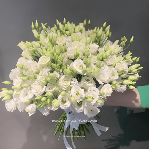 White lisianthus "Ice cream"