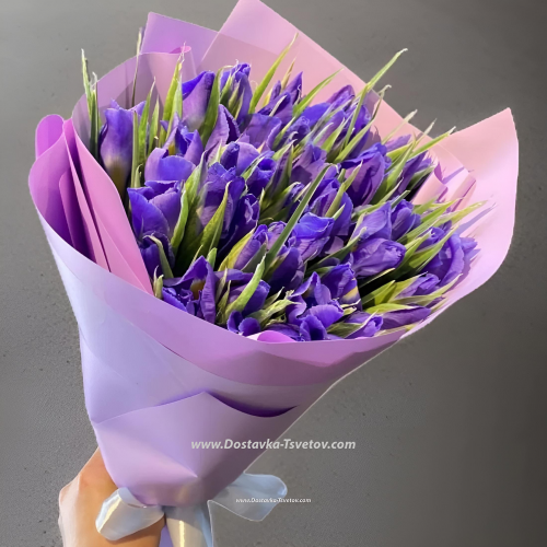 Irises blue "River Bank"