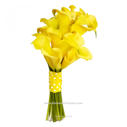 Yellow Calla Lilies "Amber Calla"