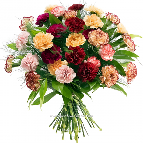 Bright carnations "Holiday of the Soul"