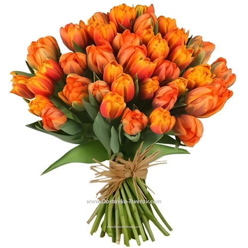 Tulips "Golden Autumn"