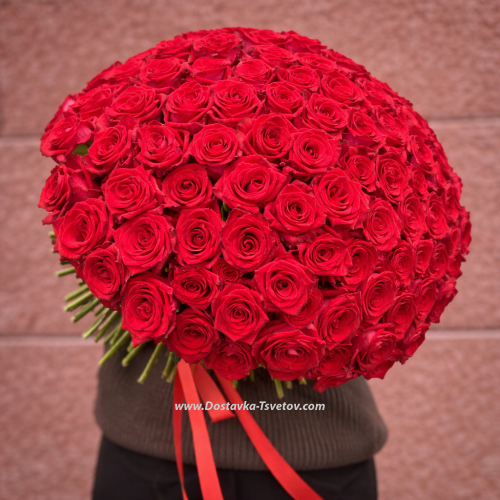 Red Roses "101 Kisses"