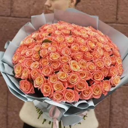 101 roses 40 cm "Carmelia"