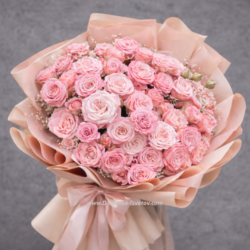 Shrub roses mix "Patricia"