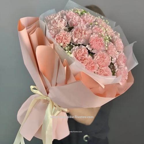 Pink carnations "Baby"