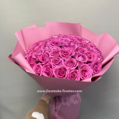 51 Pink roses "Cherry Jam"