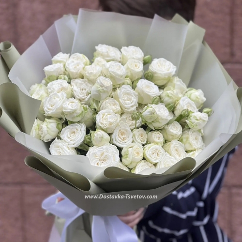 Shrub roses "Snowflake"