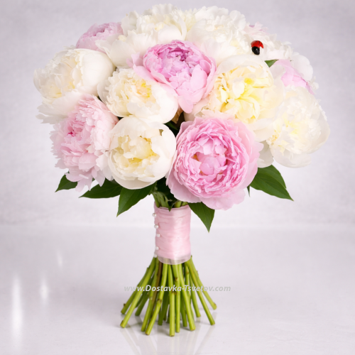 Peonies mix "Simple words"