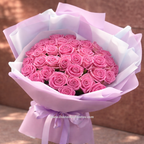 51 Pink roses "Cherry Jam"