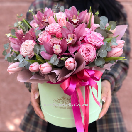 Spring box "Zemfira"