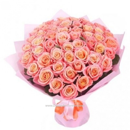 Pink roses "Mikella"