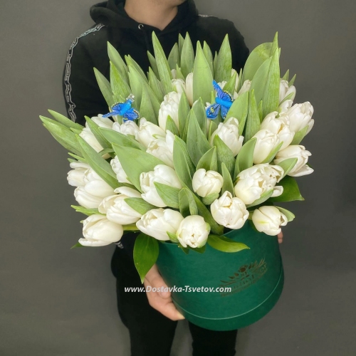 Bouquet in a box with 51 white tulips "Empire"