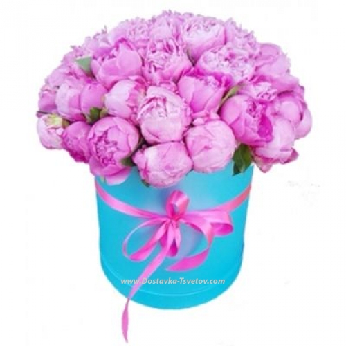 Peonies in a box "Fata Morgana"