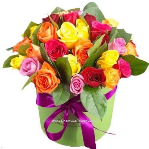 Kenyan roses "A Gift of Spring"