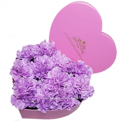 Carnations "The Heart of Beauty"