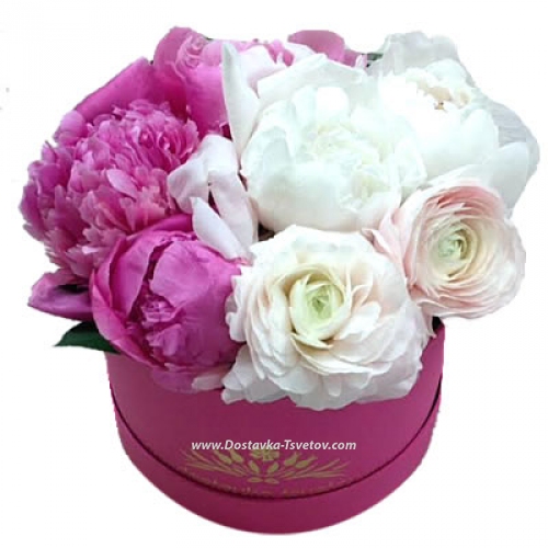 Box "Peony In Pink"