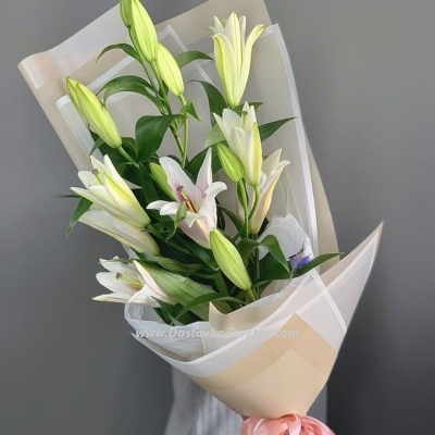 White lilies "Treasure"