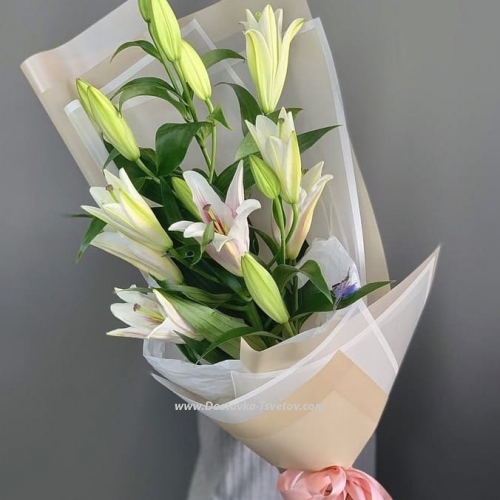 White lilies "Treasure"